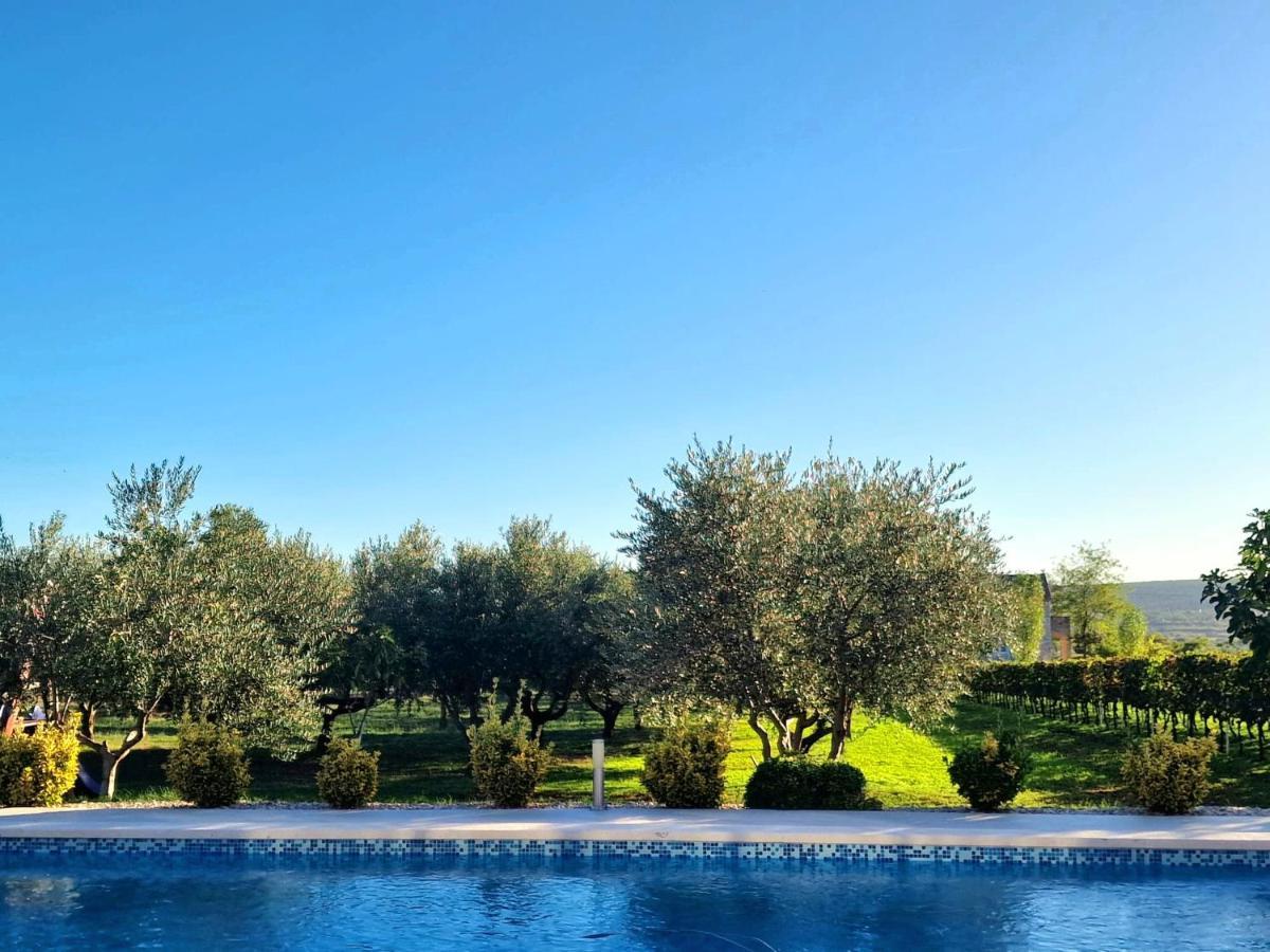 Villa Lorema-Pet Friendly On 5000 Sqm Garden,Pool, Jacuzzi, Billiard&Ps5 Sveti Filip i Jakov Extérieur photo